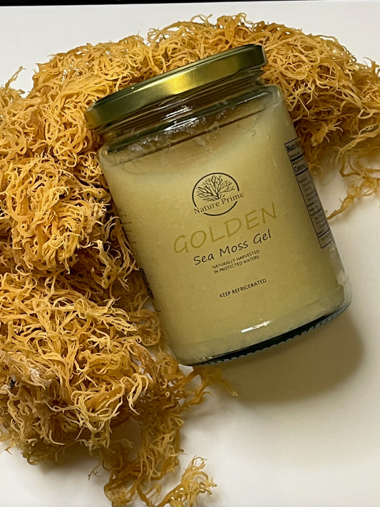 The Rise in Popularity: Why Everyone is Talking About Golden Sea Moss